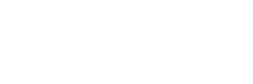 Giant Sportz